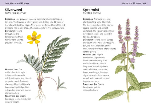 Concise Medicinal Plants - Tiffany Francis-Baker 2025