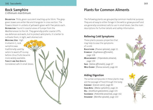 Concise Medicinal Plants - Tiffany Francis-Baker 2025