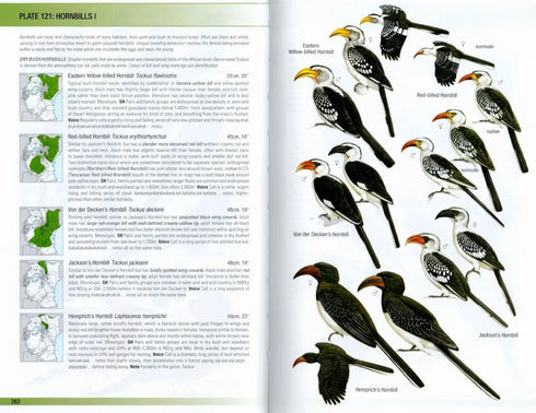 Birds of East Africa: Kenya, Tanzania, Uganda, Rwanda, Burundi - Stevensson, T. & Fanshawe, J. 2023