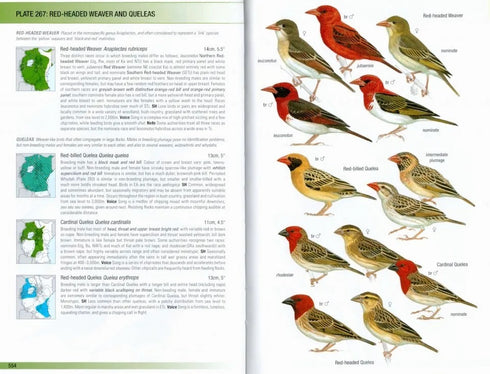 Birds of East Africa: Kenya, Tanzania, Uganda, Rwanda, Burundi - Stevensson, T. & Fanshawe, J. 2023