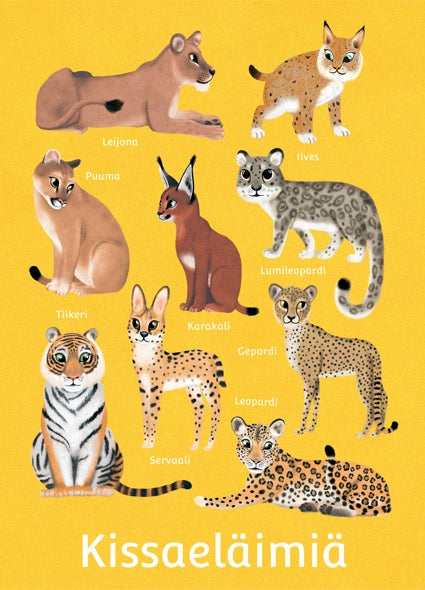 Postikortti - kissaeläimiä