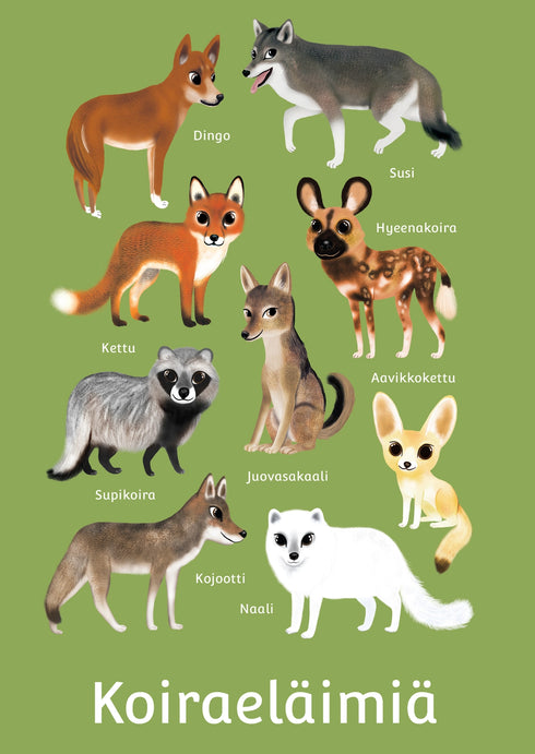 Postikortti - koiraeläimiä