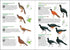 Birds of Colombia -Hilty 2021 Kovakantinen