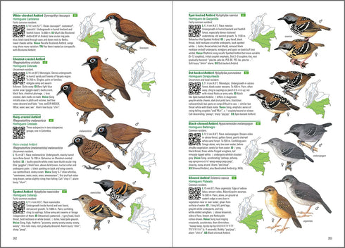 Birds of Colombia -Hilty 2021 Kovakantinen