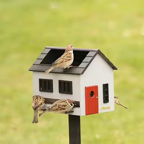 Multiholk Talomallinen ruokinta ja lintujen kylpypaikka, harmaa WG353