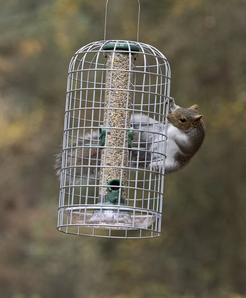 Ruokinta, Birdfeeder Guardian, large