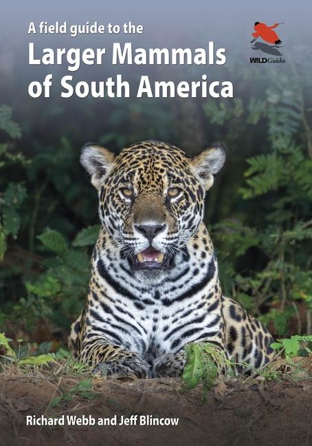 A Field Guide to the Larger Mammals of South America - Richard Webb and Jeff Blincow 2024