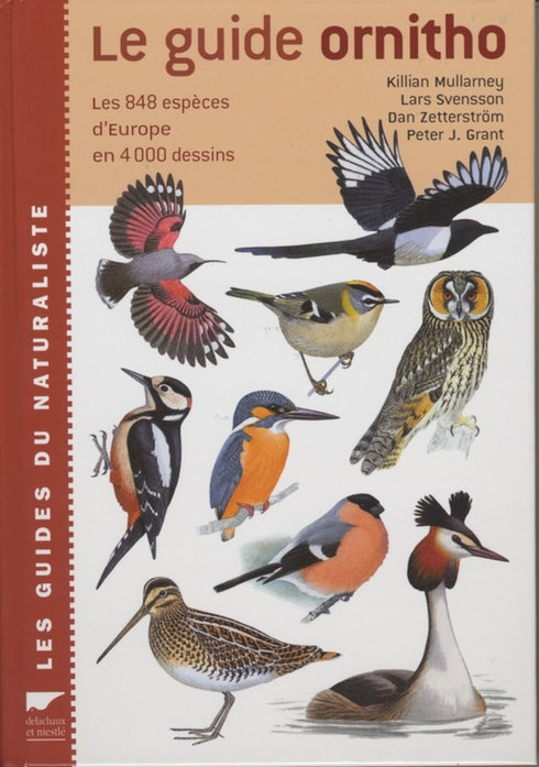 Le Guide ornitho - Mullarney, Svensdon, Zetterstöm, Grand 2002