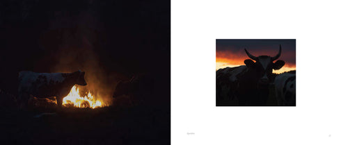 Lehmilaitumilla Lehmilaitumilla - Leivo Mauri 2022