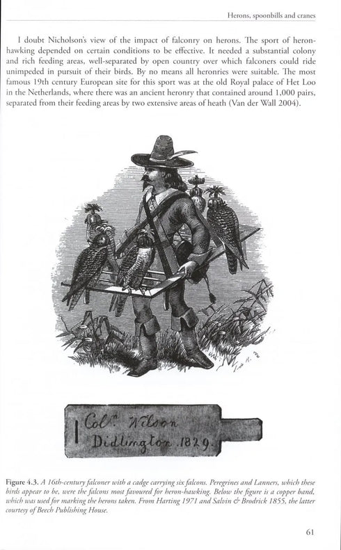 Feasting, Fowling and Feathers - Shrubb, M. 2013