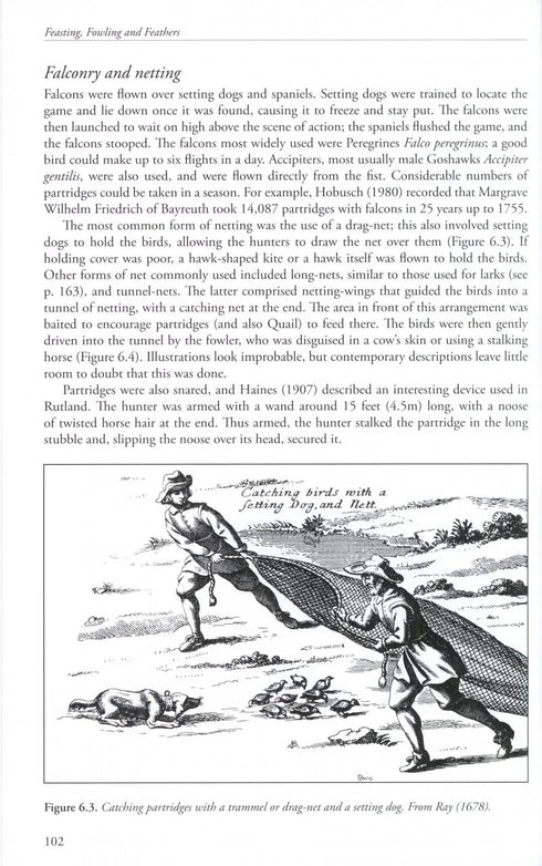 Feasting, Fowling and Feathers - Shrubb, M. 2013