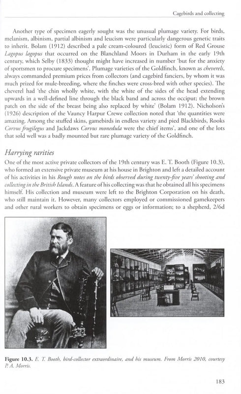 Feasting, Fowling and Feathers - Shrubb, M. 2013