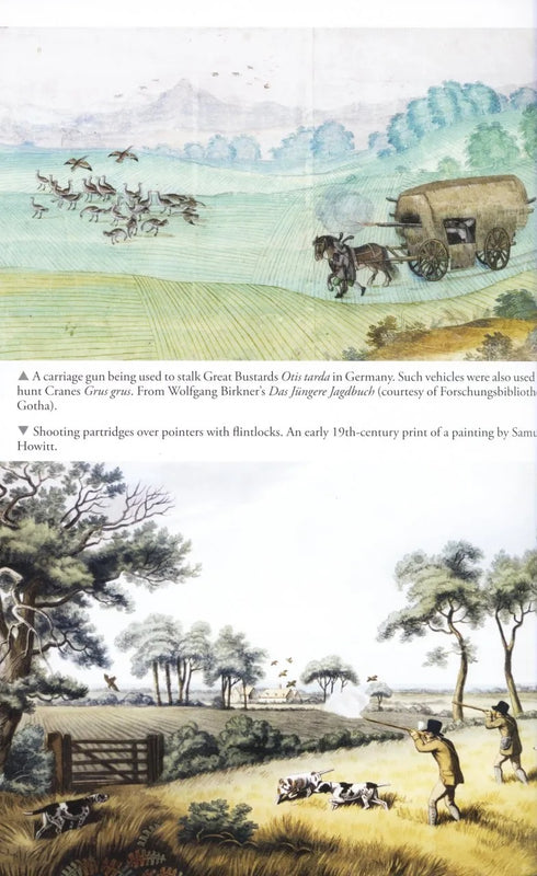 Feasting, Fowling and Feathers - Shrubb, M. 2013