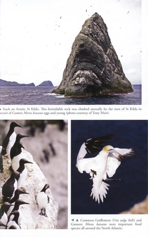 Feasting, Fowling and Feathers - Shrubb, M. 2013