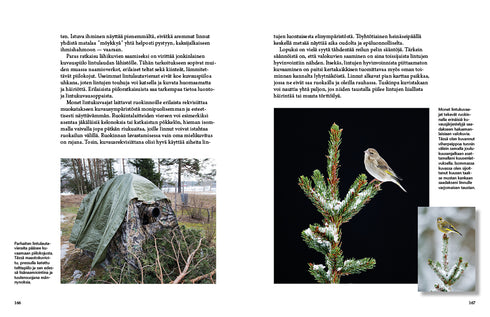 Lintulaudan elämää - Leivo, M. 2015