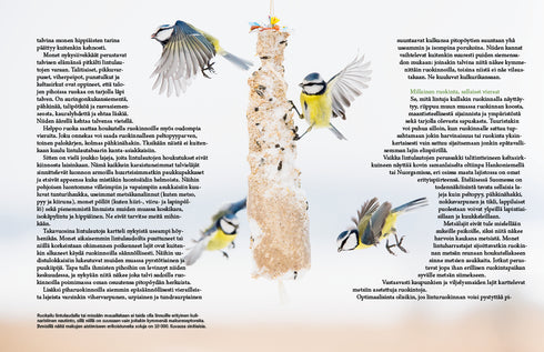 Lintulaudan elämää - Leivo, M. 2015