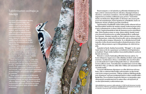 Lintulaudan elämää - Leivo, M. 2015