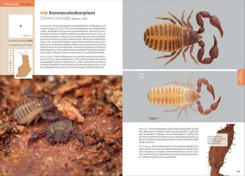 Suomen lukit ja valeskorpionit - Annika Uddström, Veikko Rinne 2016