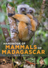 Handbook of Mammals of Madagascar - Garbutt, N. 2022