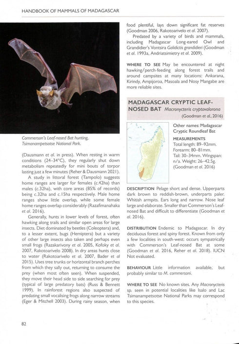 Handbook of Mammals of Madagascar - Garbutt, N. 2022