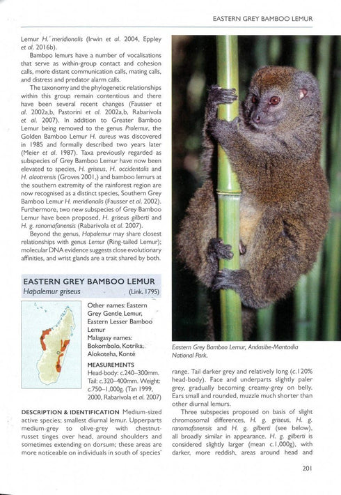 Handbook of Mammals of Madagascar - Garbutt, N. 2022
