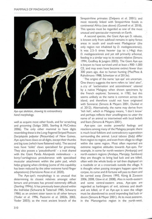 Handbook of Mammals of Madagascar - Garbutt, N. 2022