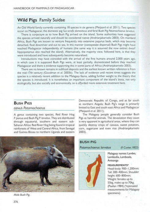 Handbook of Mammals of Madagascar - Garbutt, N. 2022