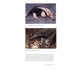 Mammals of South America - Lord, R. D. 2007
