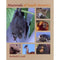 Mammals of South America - Lord, R. D. 2007