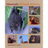 Mammals of South America - Lord, R. D. 2007