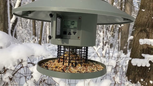 Wingscapes Auto Feeder Ruokinta-automaatti ajastimella. Vetoisuus 3,8 L.