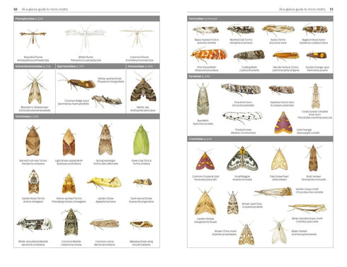Field Guide to the Micro-moths of Great Britain and Ireland. 2nd. Ed. - Sterling,P. 2023