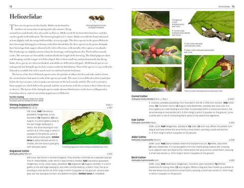 Field Guide to the Micro-moths of Great Britain and Ireland. 2nd. Ed. - Sterling,P. 2023