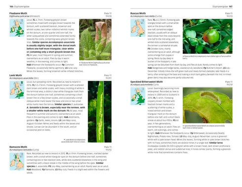 Field Guide to the Micro-moths of Great Britain and Ireland. 2nd. Ed. - Sterling,P. 2023