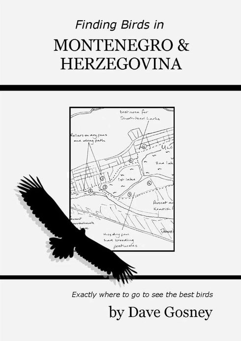 Finding Birds in Montenegro & Herzegovina - Dave Gosney 2023