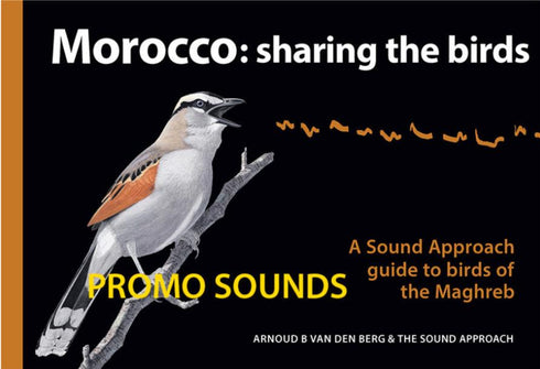 Morocco Sharing the Birds - Arnoud B van den Berg & The Sound Approach, 2020