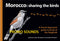 Morocco Sharing the Birds - Arnoud B van den Berg & The Sound Approach, 2020