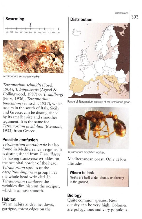 Ants of Britain and Europe, Photographic Guide - Lebas, C. ym. 2019)