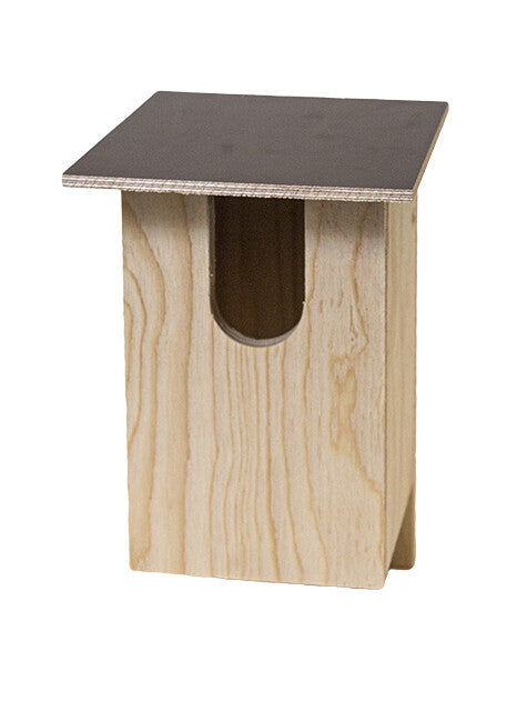 Linnunpönttö pähkinänakkeli (vaneri)