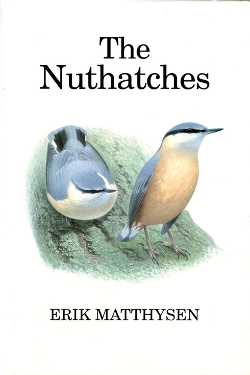 Nuthatches - Matthysen, E. 1998