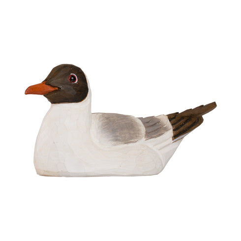 Pullonavaaja naurulokki