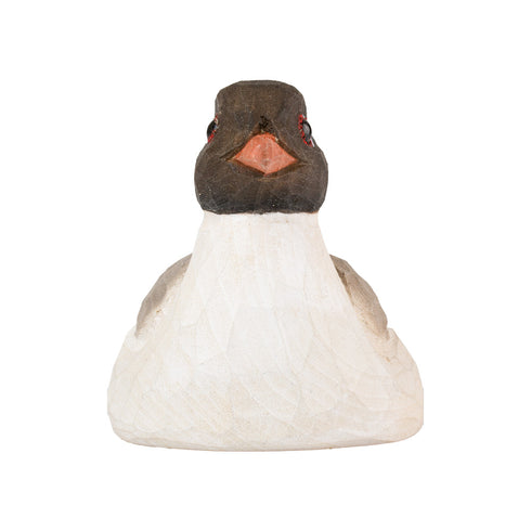 Pullonavaaja naurulokki