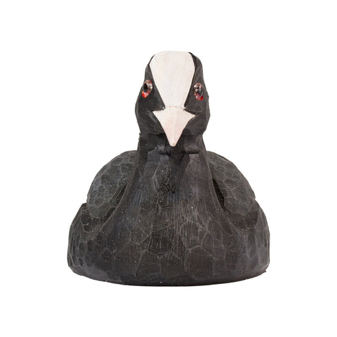 Pullonavaaja nokikana