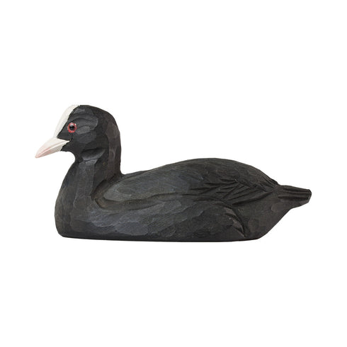 Pullonavaaja nokikana