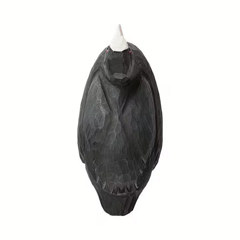 Pullonavaaja nokikana