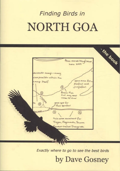 Finding Birds in North Goa - Dave Gosney 2010