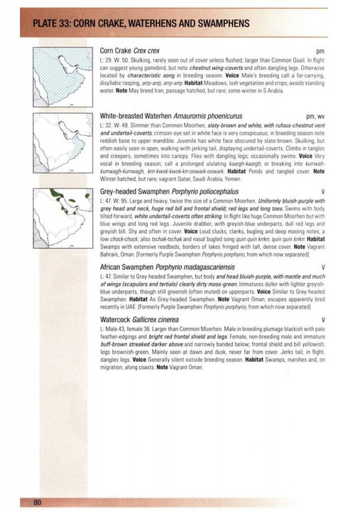 Birds of Oman - Eriksen, J. Porter, R. 2018