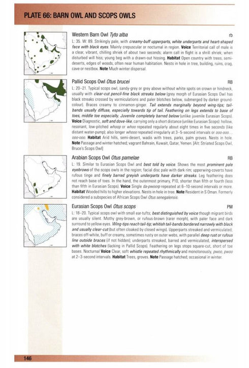 Birds of Oman - Eriksen, J. Porter, R. 2018