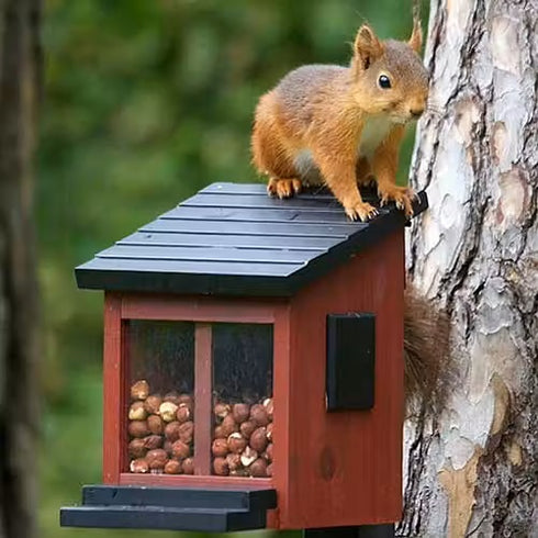 Oravan ruokinta punainen WG313