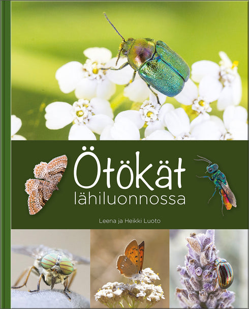 Ötökät lähiluonnossa - Leena ja Heikki Luoto 2022
